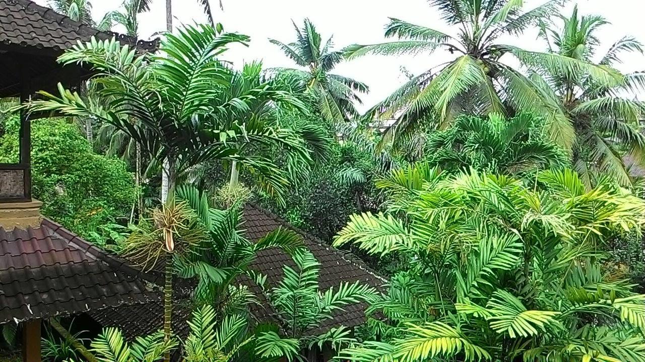 Sari Wangi Cottage Убуд Экстерьер фото