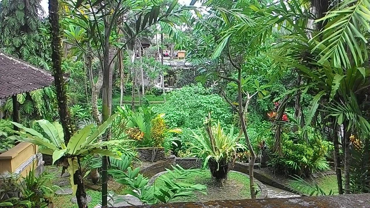 Sari Wangi Cottage Убуд Экстерьер фото
